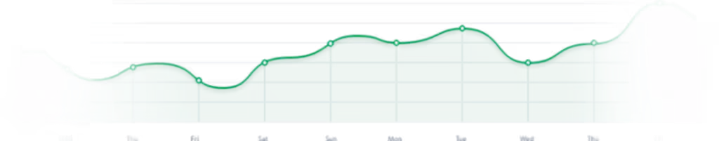 Seo Yükselme Grafiği
