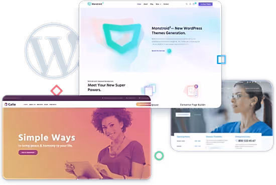 Wordpress web tasarim kimlere hitap ediyor